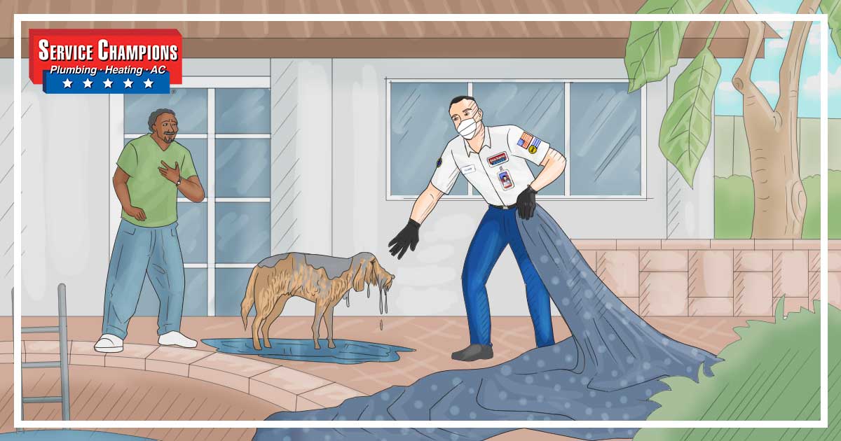 Save Dog Kasteel Blog - Alert Technician Prevents Labradoodle From Drowning