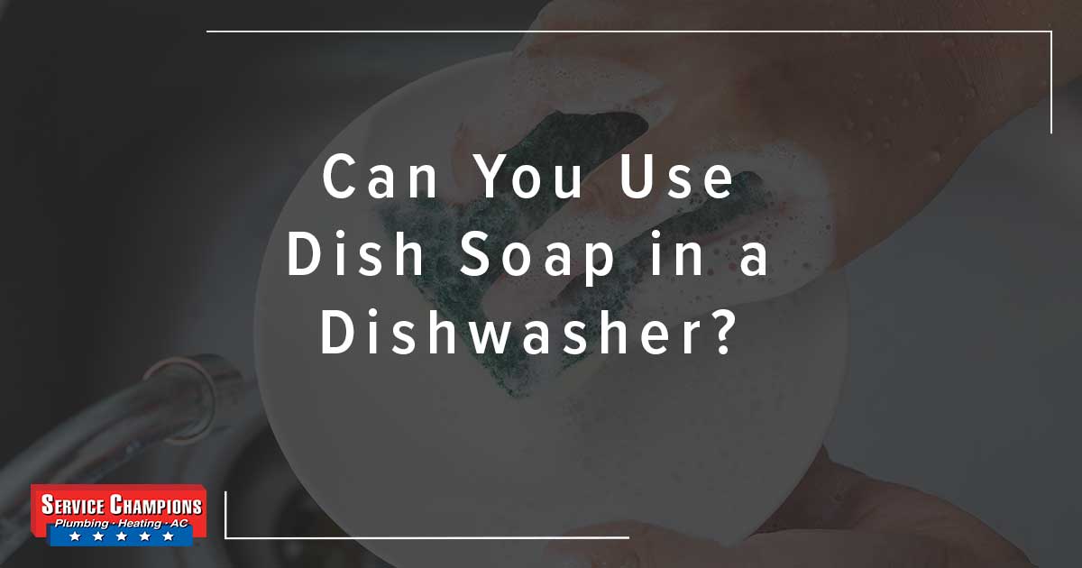 SC DishWasher Head - Can You Use Dish Soap in a Dishwasher?