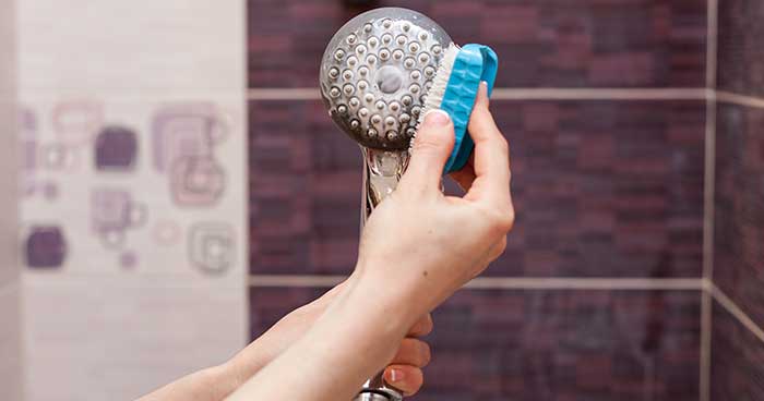 SC ShowerHead 04 - How to Clean a Showerhead