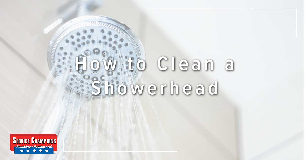 SC Showerhead Head - How to Clean a Showerhead