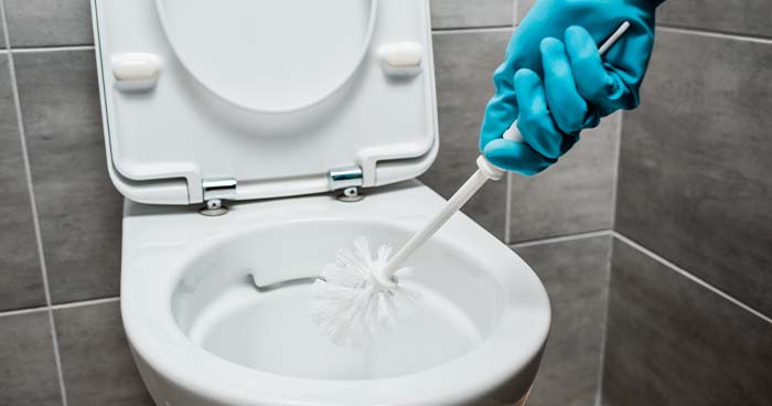 Diy Natural Cleaning Products Can Get Your Toilet Nice And Bright.