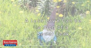 Is Your Lawn Looking A Little Overgrown? Lush Lawn Can Be A Sign Of A Sewer Line Leak