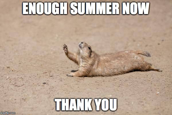 Enough Summer Hot Weather Meme