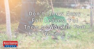 Don’t Throw Away Fall Leaves. Put Them To Work In Your Garden