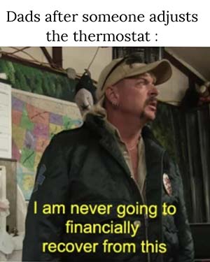 Image: Tiger King Meme about thermostat changes and heating bills.