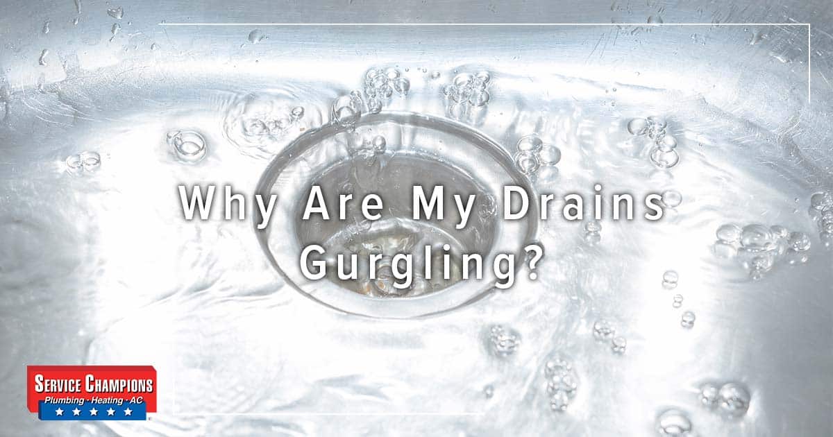 How To Fix Gurgling Shower Drain at Brandy Hicks blog