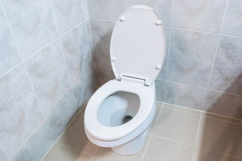 How To Replace Your Toilet 